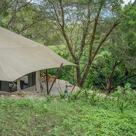 Dolly Farm & River Camp, Luxury Tents Usa River Exteriör bild