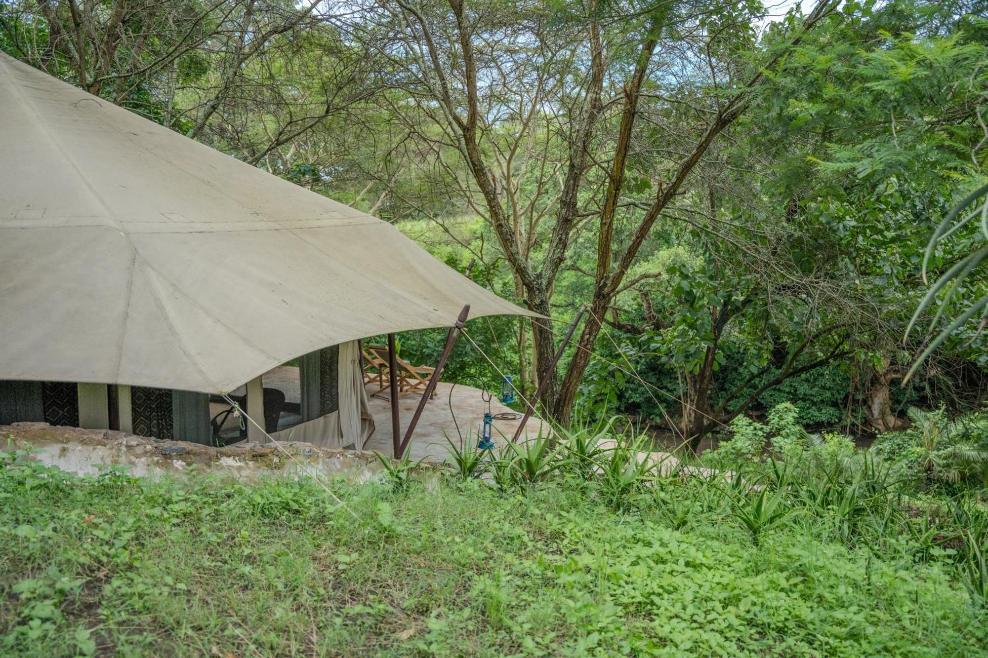Dolly Farm & River Camp, Luxury Tents Usa River Exteriör bild
