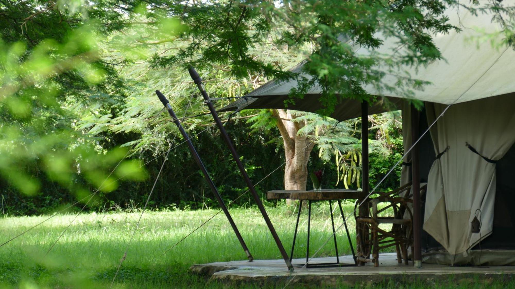 Dolly Farm & River Camp, Luxury Tents Usa River Exteriör bild