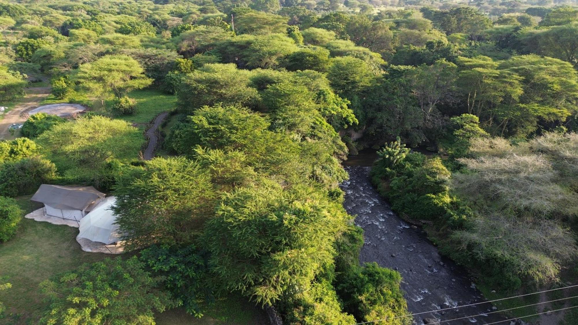Dolly Farm & River Camp, Luxury Tents Usa River Exteriör bild