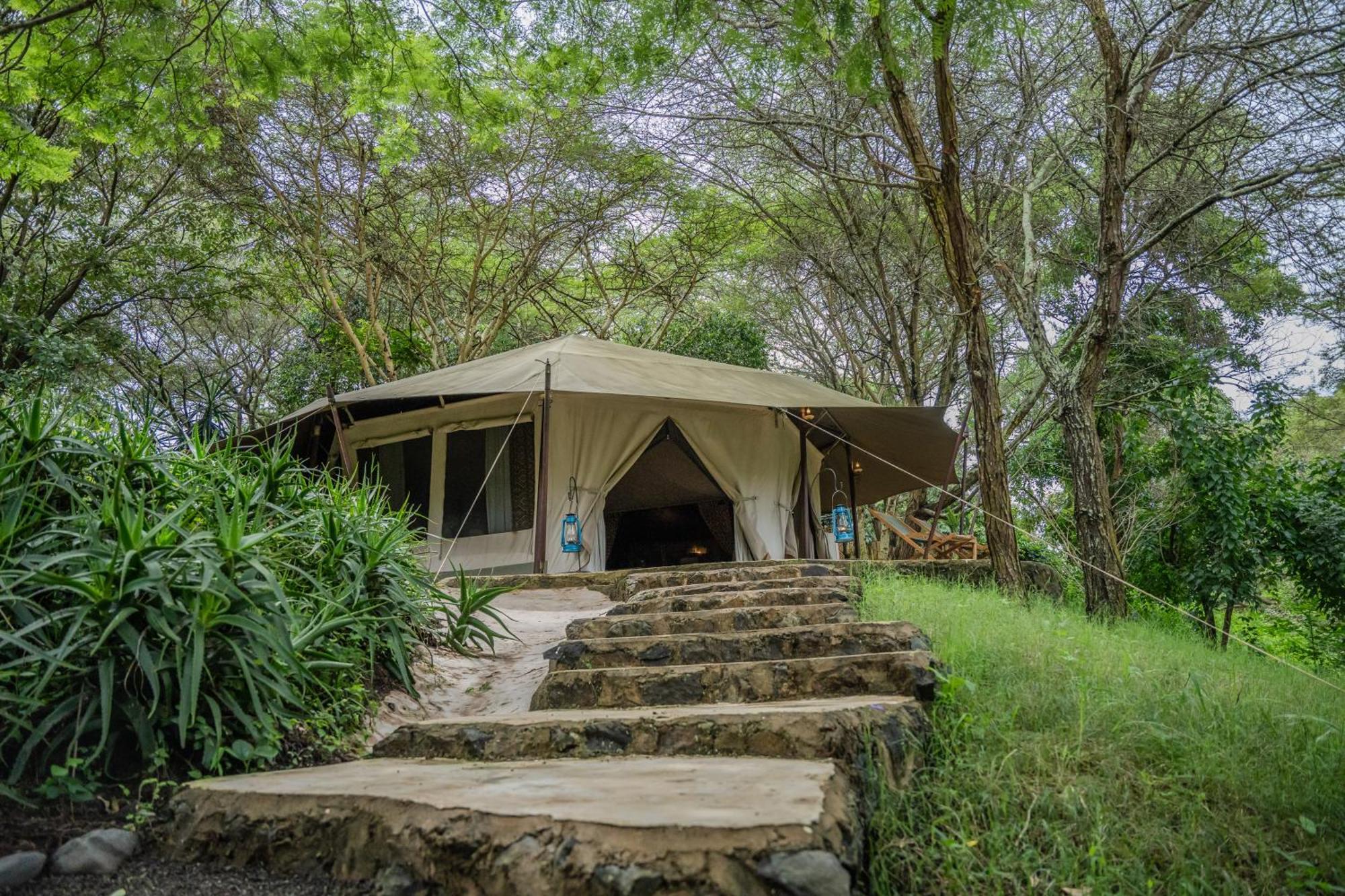 Dolly Farm & River Camp, Luxury Tents Usa River Exteriör bild