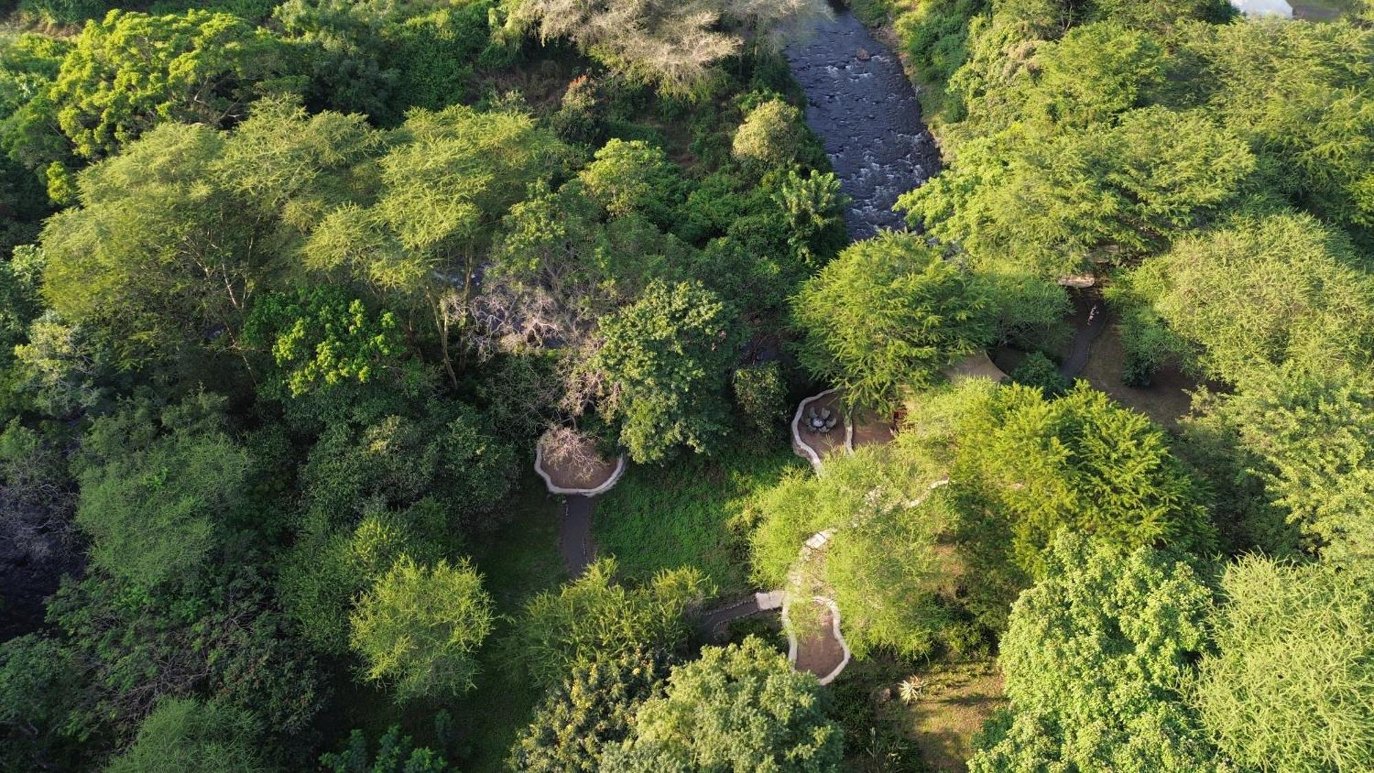 Dolly Farm & River Camp, Luxury Tents Usa River Exteriör bild